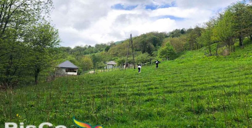 Prodaja Plac Mojkovac 1 of 3