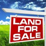 land for sale image 2