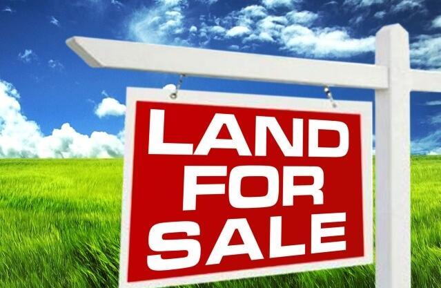 land for sale image 2