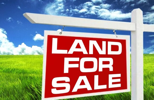 land for sale image