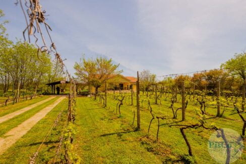 Izdavanje kuća Podgorica - Trosobna kuća na velikom placu (3 of 18)