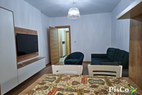 Izdavanje, namješten jednosoban stan, preko Morače, 40m2, Podgorica (3 of 10)