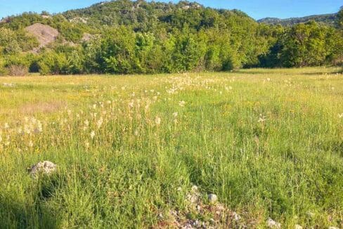 Prodaje se veliko zemljište, 27000m2, Grahovo, Nikšić-462