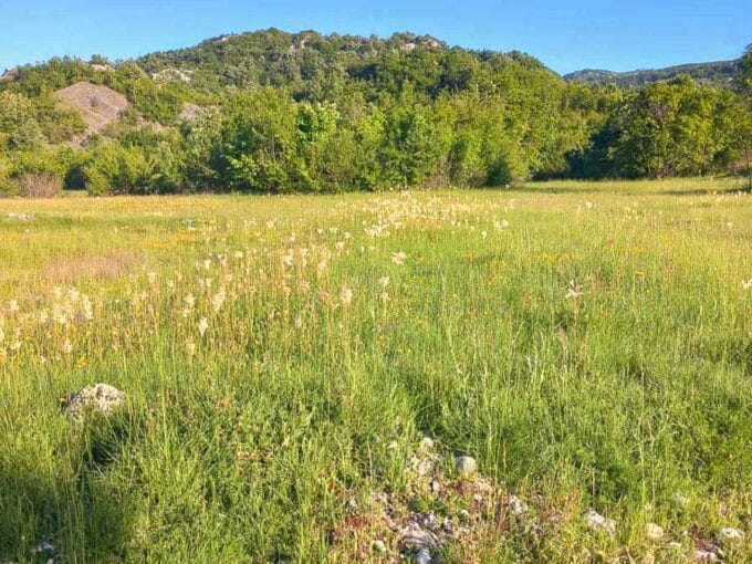 Prodaje se veliko zemljiste 27000m2 Grahovo Niksic 462