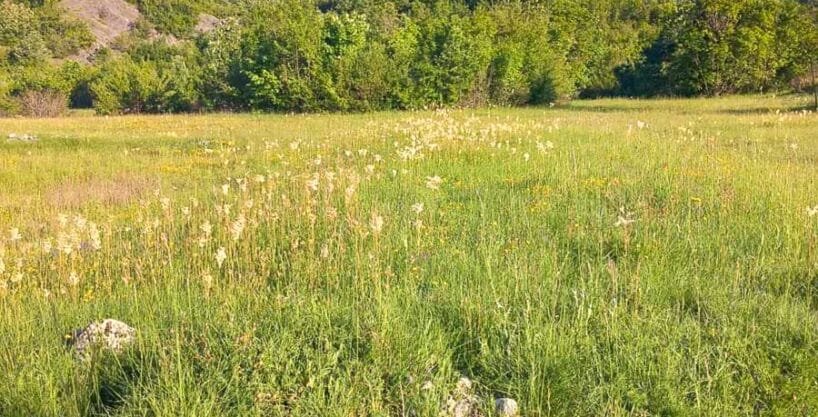 Prodaje se veliko zemljiste 27000m2 Grahovo Niksic 462