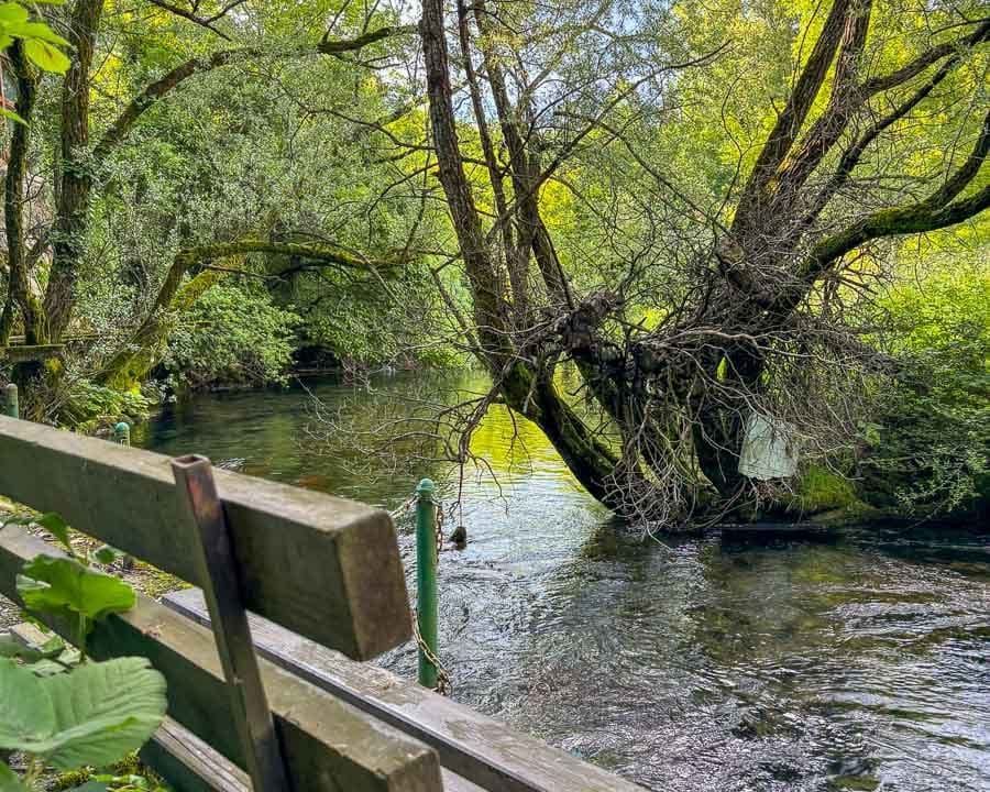 Idiličan stambeno poslovni objekat uz rijeku 230 m², Vidrovan, Nikšić--14