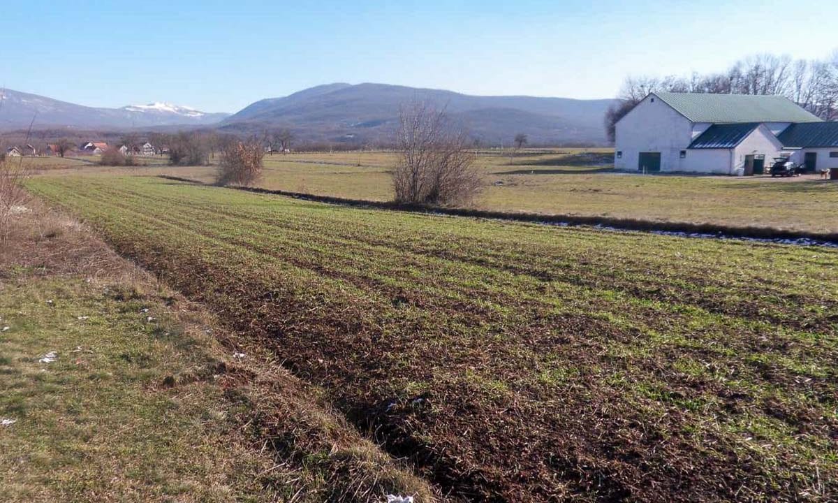 Plac 2422 m², Rastovac, Nikšić-249