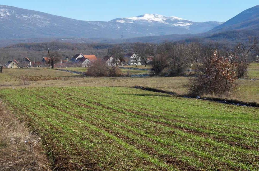 Plac 2422 m², Rastovac, Nikšić-996