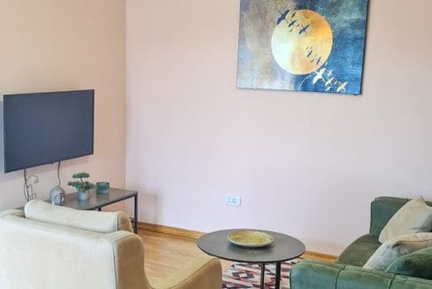 Jednosoban stan, 50m2, Nova Dalmatinska, Podgorica-344