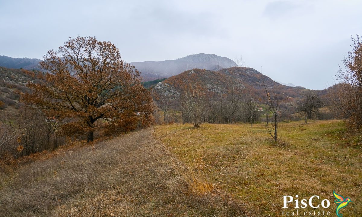 Zemljište sa kućom, 15094 m2, Kuta, Župa Nikšićka-0821