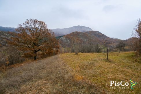 Zemljište sa kućom, 15094 m2, Kuta, Župa Nikšićka-0821