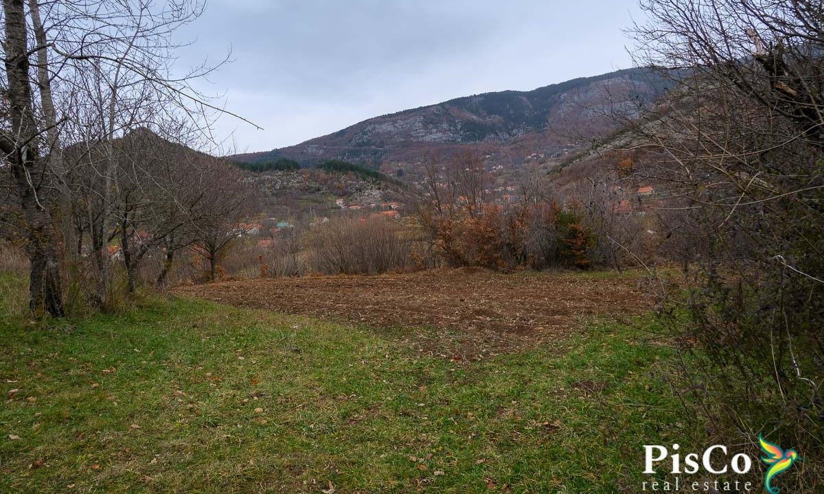 Zemljište sa kućom, 15094 m2, Kuta, Župa Nikšićka-0822