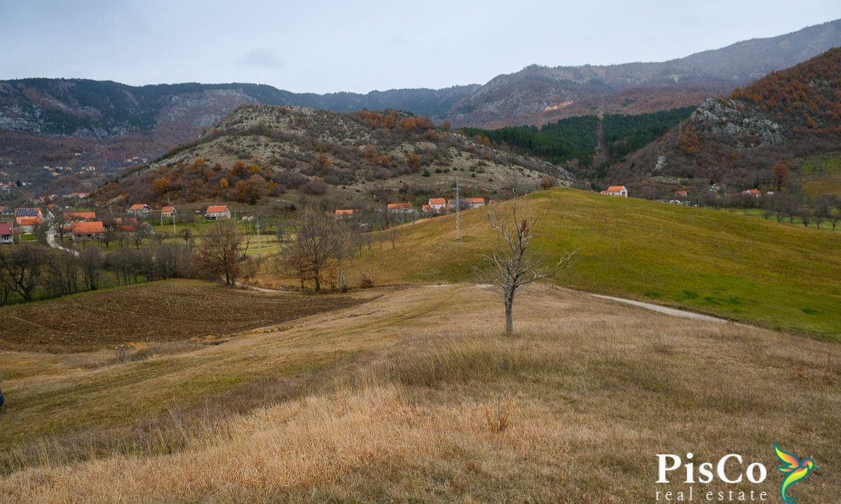 Zemljište sa kućom, 15094 m2, Kuta, Župa Nikšićka-0829