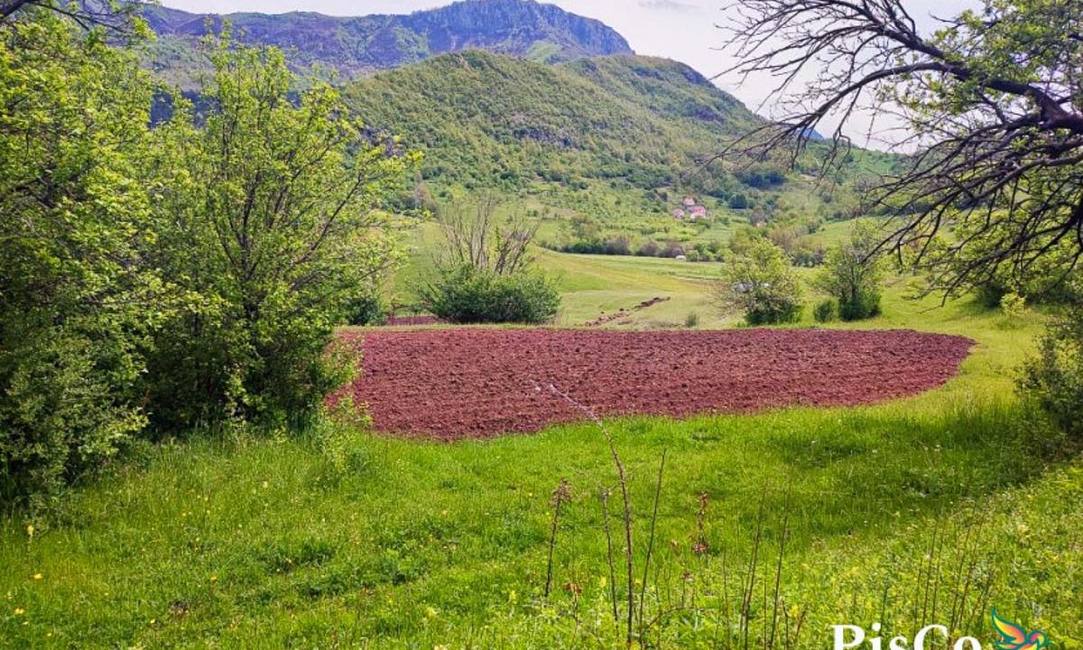 Zemljište sa kućom, 15094 m2, Kuta, Župa Nikšićka-1714818720290