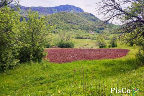 Zemljište sa kućom, 15094 m2, Kuta, Župa Nikšićka-1714818720290