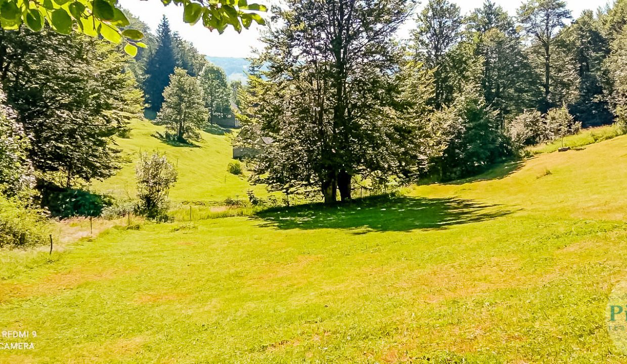 Nekretnina koja donosi čist vazduh i netaknutu prirodu - Plac i kuća Bukovica (15)