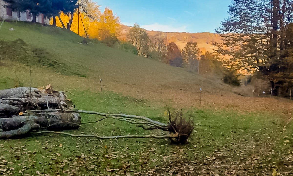 Nekretnina koja donosi čist vazduh i netaknutu prirodu - Plac i kuća Bukovica (4)