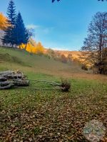 Nekretnina koja donosi cist vazduh i netaknutu prirodu Plac i kuca Bukovica 4