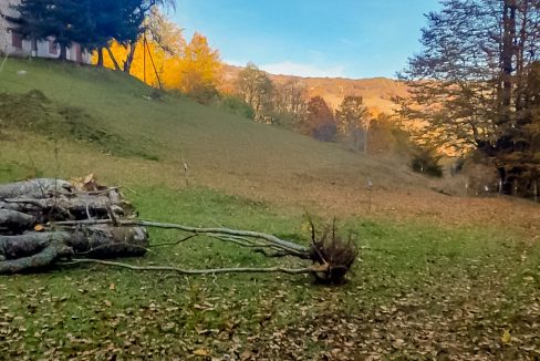 Nekretnina koja donosi čist vazduh i netaknutu prirodu - Plac i kuća Bukovica (4)