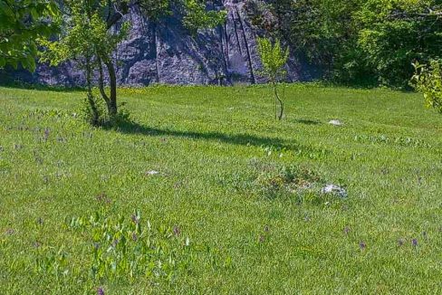 Na prodaju imanje iznad Krupačkog jezera, 100000m2, 15 km od Nikšića-288