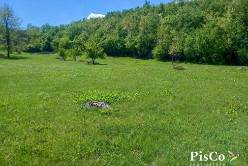 Na prodaju imanje iznad Krupačkog jezera, 100000m2, 15 km od Nikšića-552