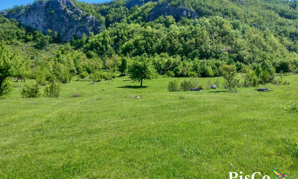 Na prodaju imanje iznad Krupačkog jezera, 100000m2, 15 km od Nikšića-961